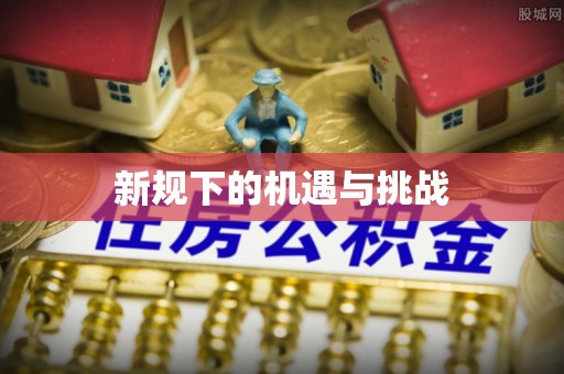 罗庄新规下的机遇与挑战