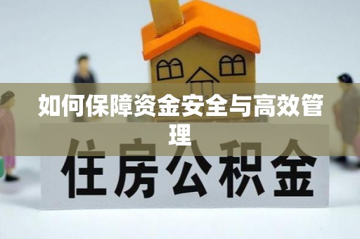 罗庄如何保障资金安全与高效管理
