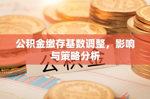 罗庄公积金缴存基数调整，影响与策略分析