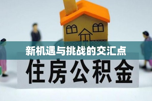 罗庄新机遇与挑战的交汇点