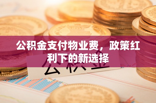 罗庄公积金支付物业费，政策红利下的新选择