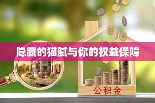 罗庄隐藏的猫腻与你的权益保障