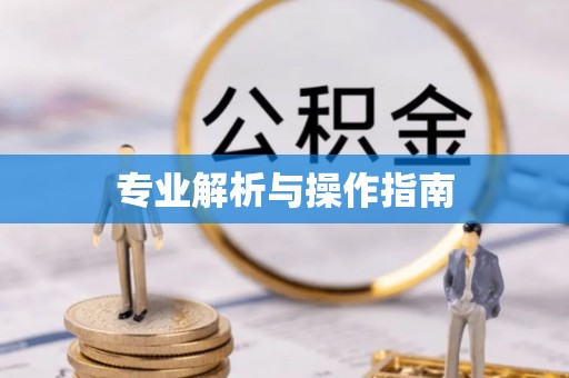罗庄专业解析与操作指南
