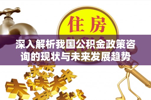 罗庄深入解析我国公积金政策咨询的现状与未来发展趋势