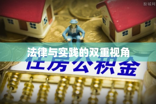 罗庄法律与实践的双重视角