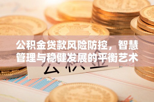 罗庄公积金贷款风险防控，智慧管理与稳健发展的平衡艺术