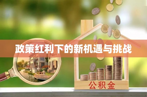 罗庄政策红利下的新机遇与挑战