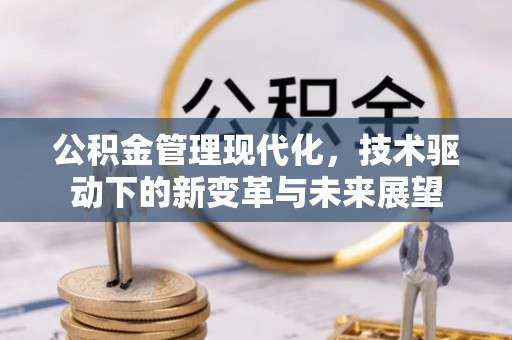 罗庄公积金管理现代化，技术驱动下的新变革与未来展望