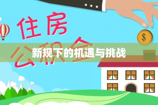 罗庄新规下的机遇与挑战