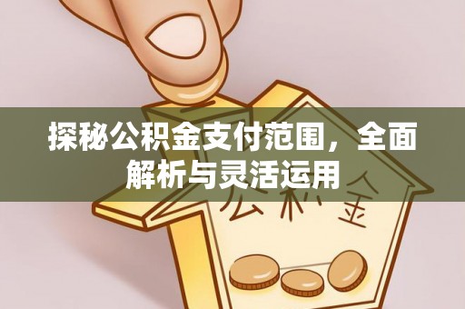 罗庄探秘公积金支付范围，全面解析与灵活运用
