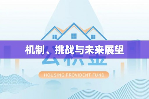 罗庄机制、挑战与未来展望